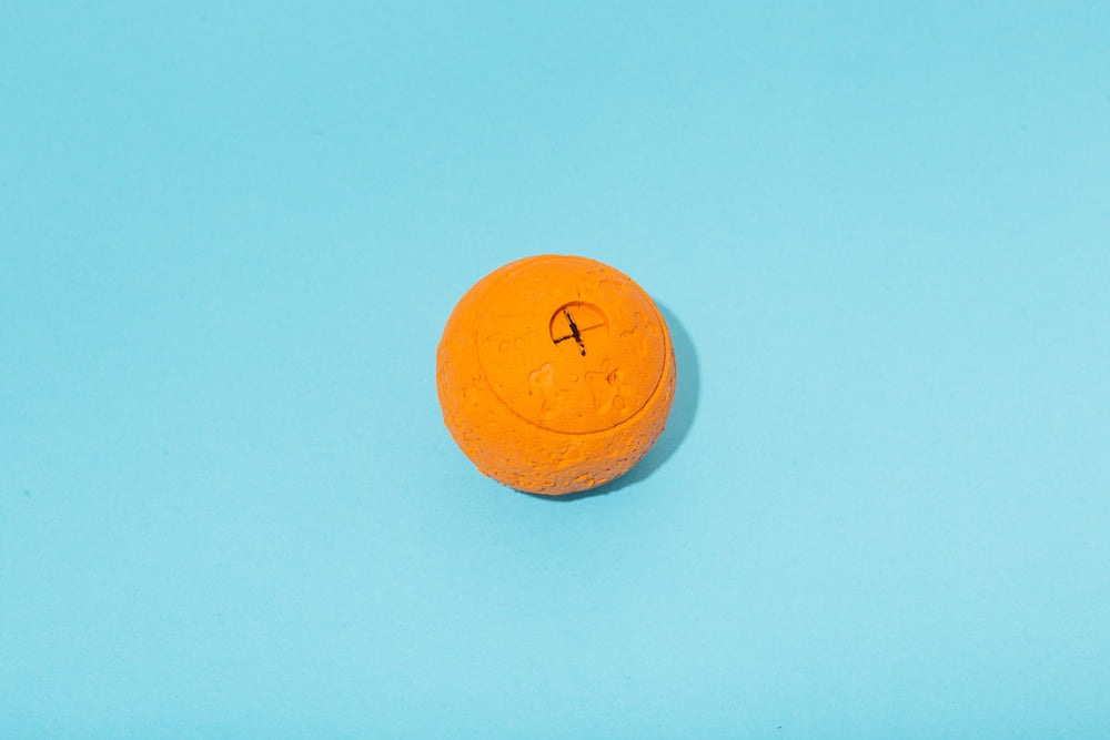 Opvouwbare oranje reisdrinkbak voor honden