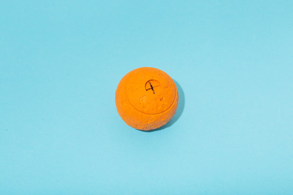 Opvouwbare oranje reisdrinkbak voor honden