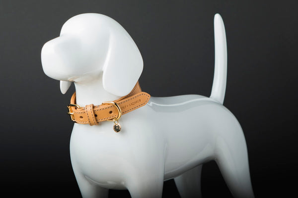 Klassieke bruine leren halsband voor honden