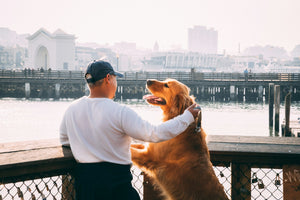 Baasje onderweg met hond in de stad