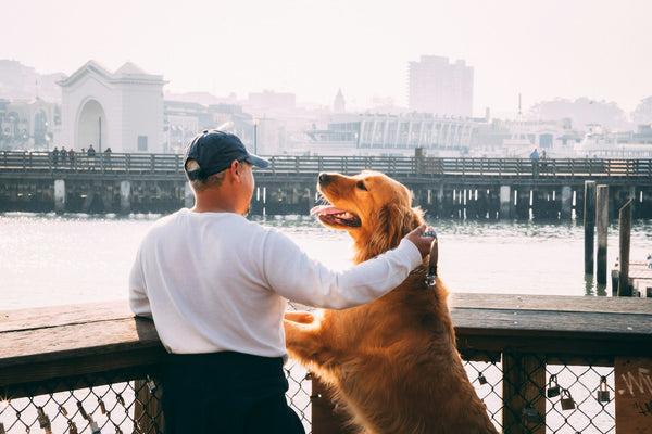 Baasje onderweg met hond in de stad