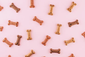 Set van 5 gekleurde speelgoed botjes voor honden