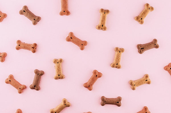 Set van 5 gekleurde speelgoed botjes voor honden